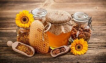 apitherapy for the treatment of varicose veins of the legs